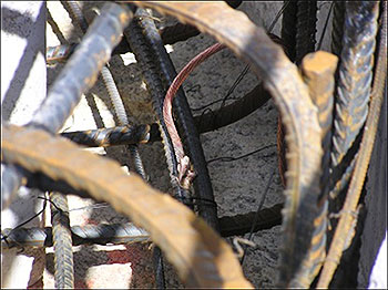 Bare copper attached to rebar