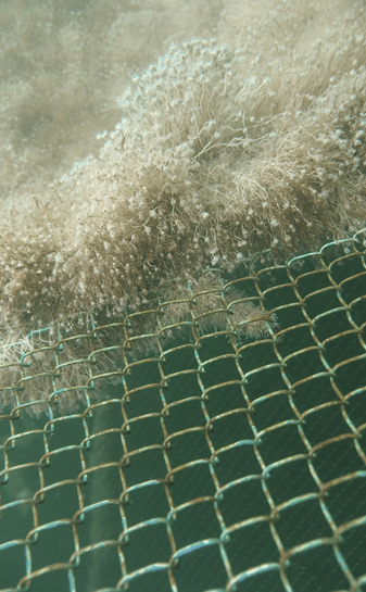 fence under water