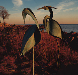 Verdigris-treated herons