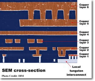 SEM cross-section