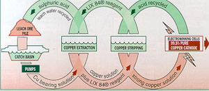 Figure 4 - graph