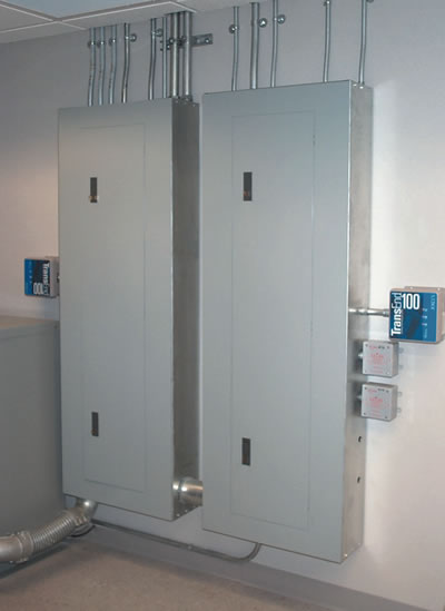 Two Branch Circuit Panels