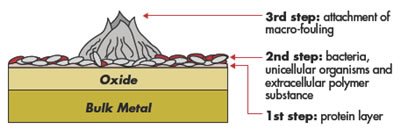 CuNi Biofouling Feature